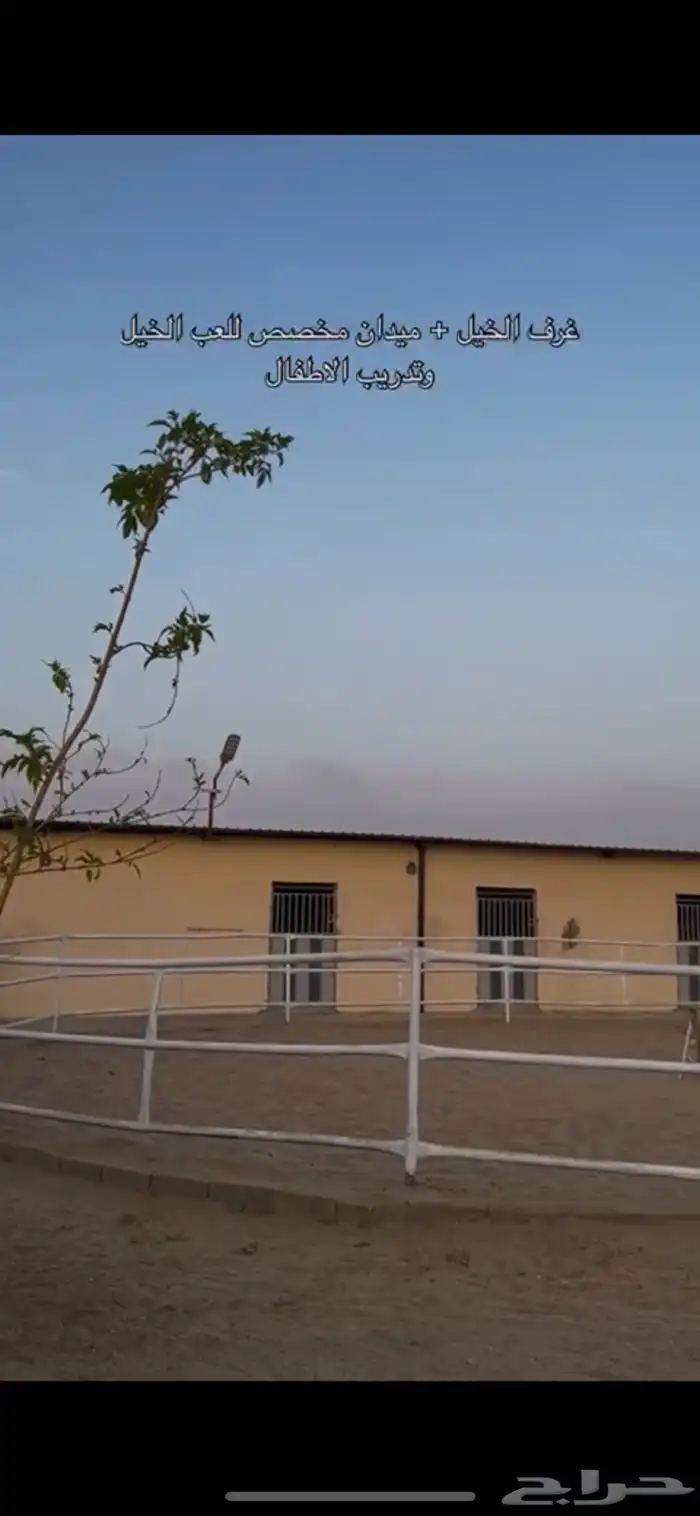 مربط ايواء خيول 5