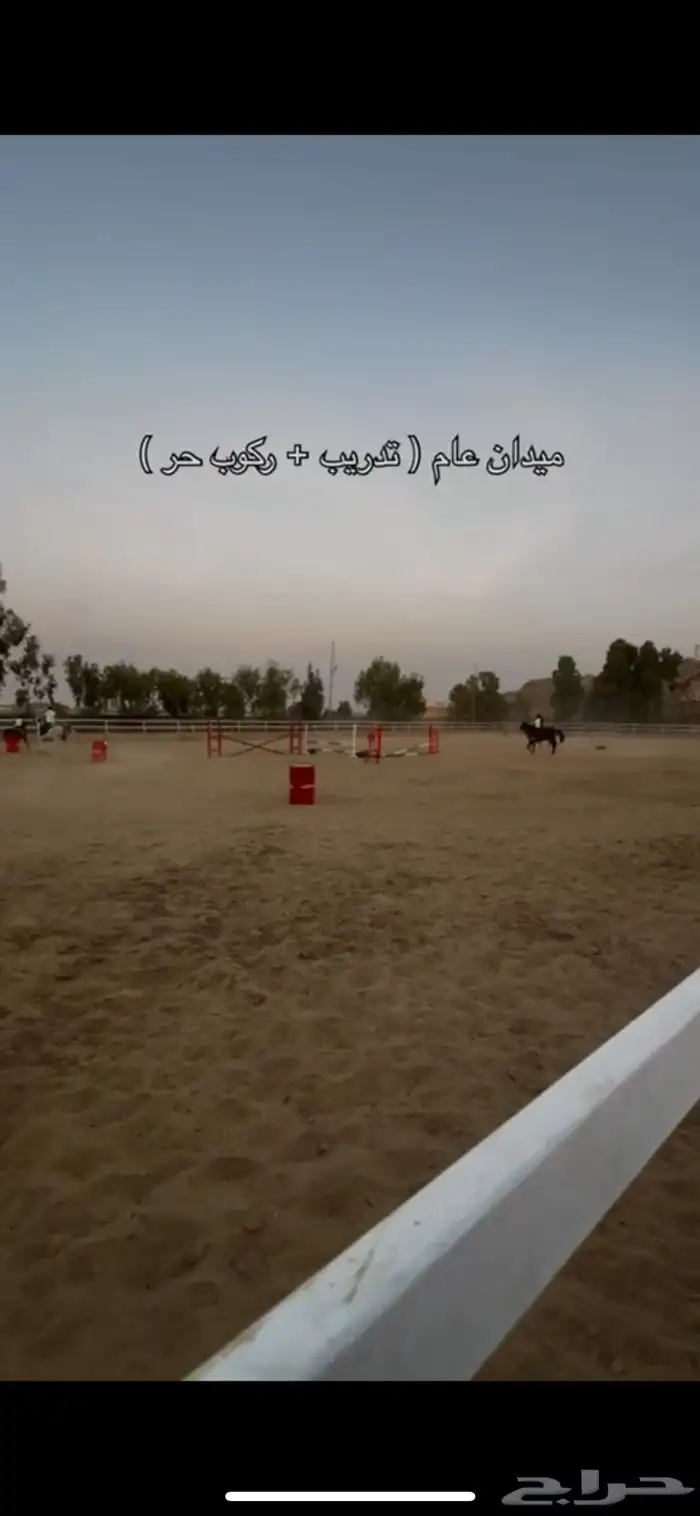 مربط ايواء خيول 4