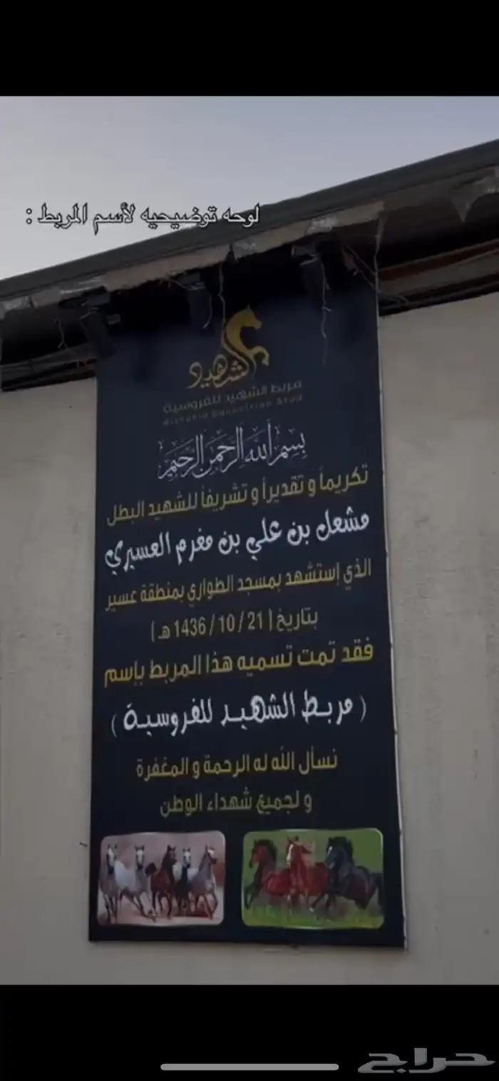 مربط ايواء خيول 6