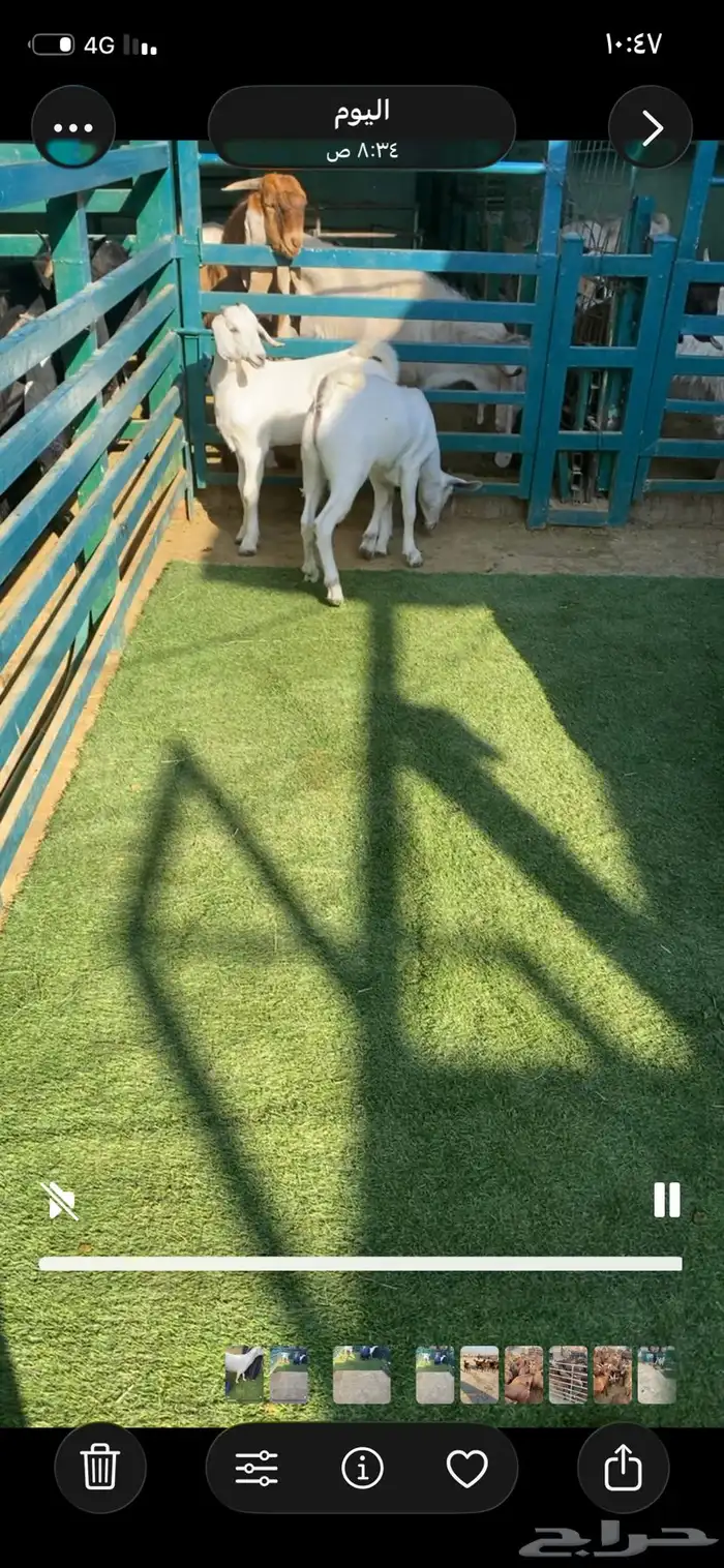 بيشيه متبع بتيسين ودافع بثلاثه 2