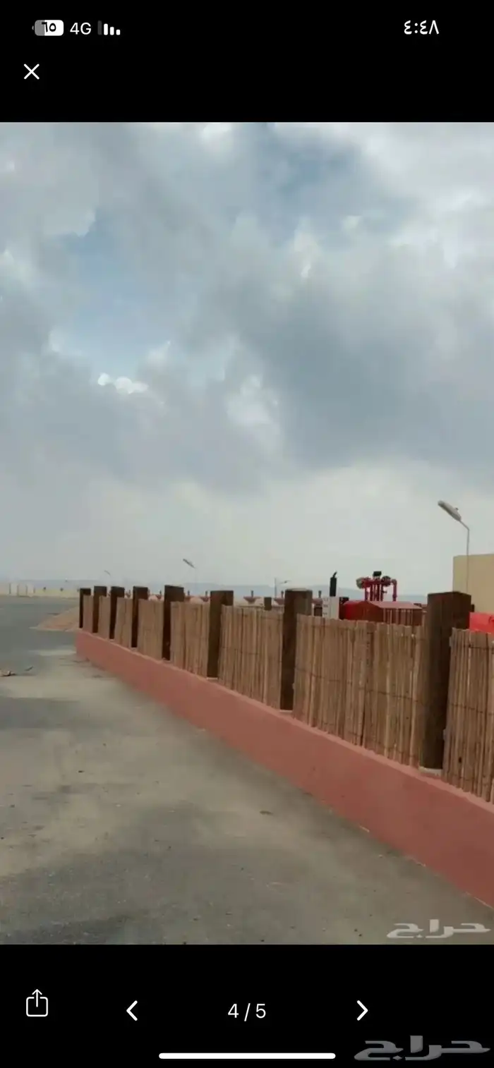 سعف وخزاز نخل لزينه الحدايق والأكواخ شتويه 3