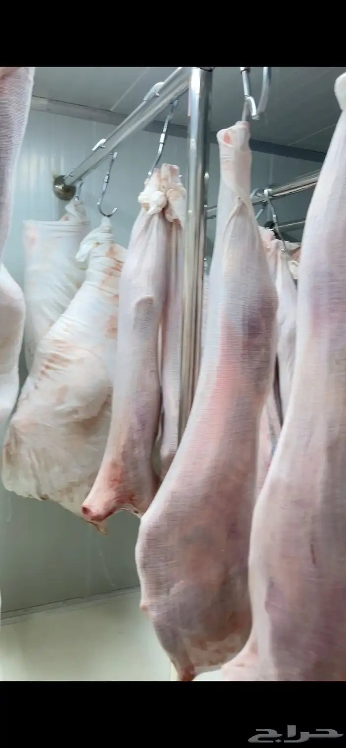 ملحمة صالحة لأجود أنواع اللحوم. اعلي جودة مقابل   افضل سعر 12