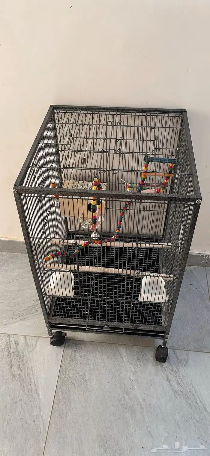قفص طيور 0