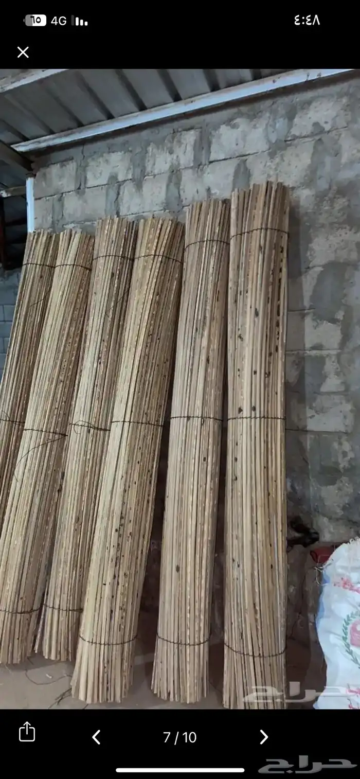 سعف وخزاز نخل لزينه الحدايق والأكواخ شتويه 1