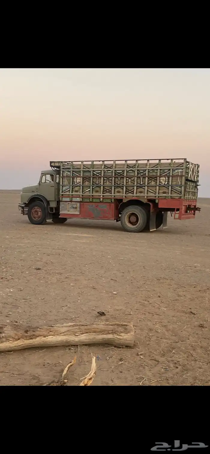 عايدي بوز 79 نظيف لوري 24 11