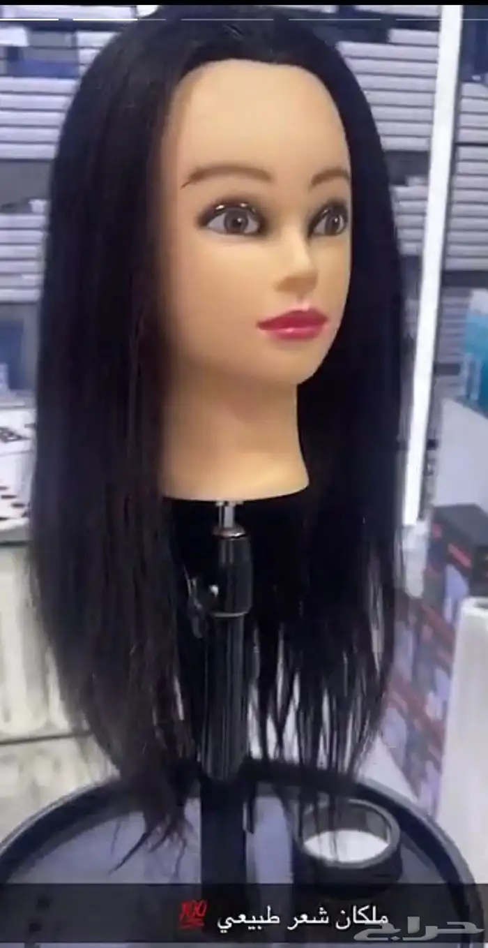 ملكان شعر طبيعي للتدريب 0