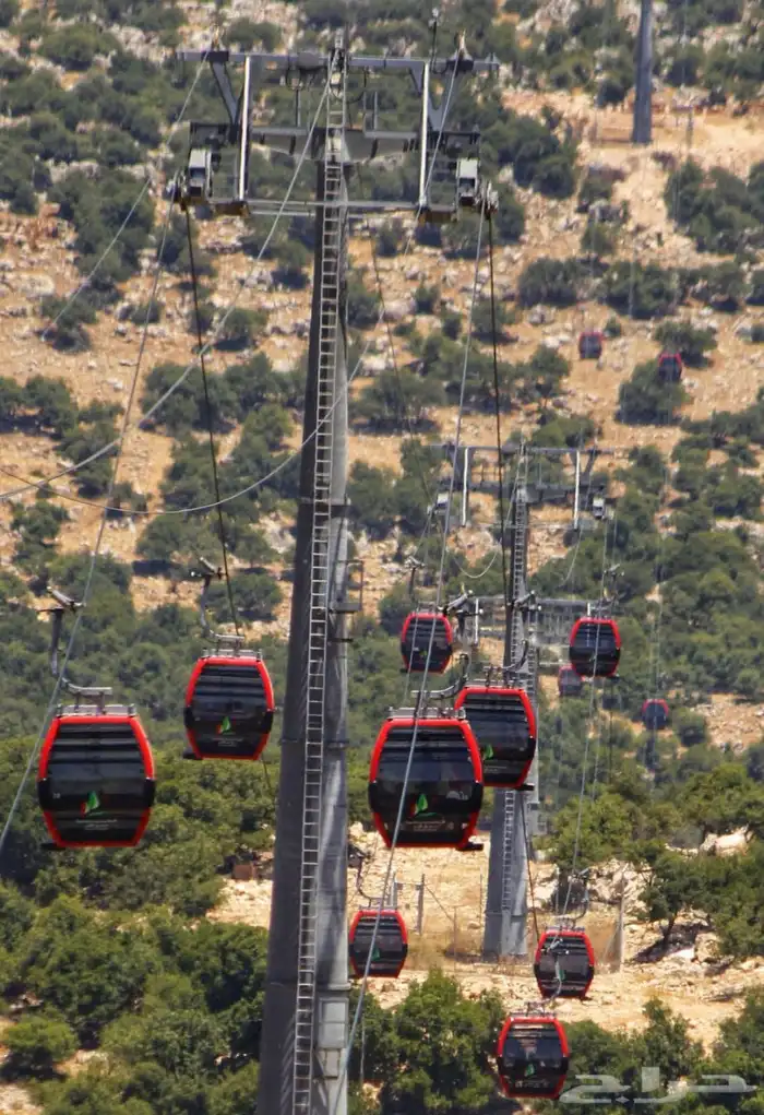 رحلات دراسية و علاجيه وسياحيه على الاردن 5