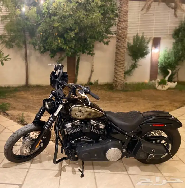 هارلي ستريت بوب 2018 harley steet bob 5