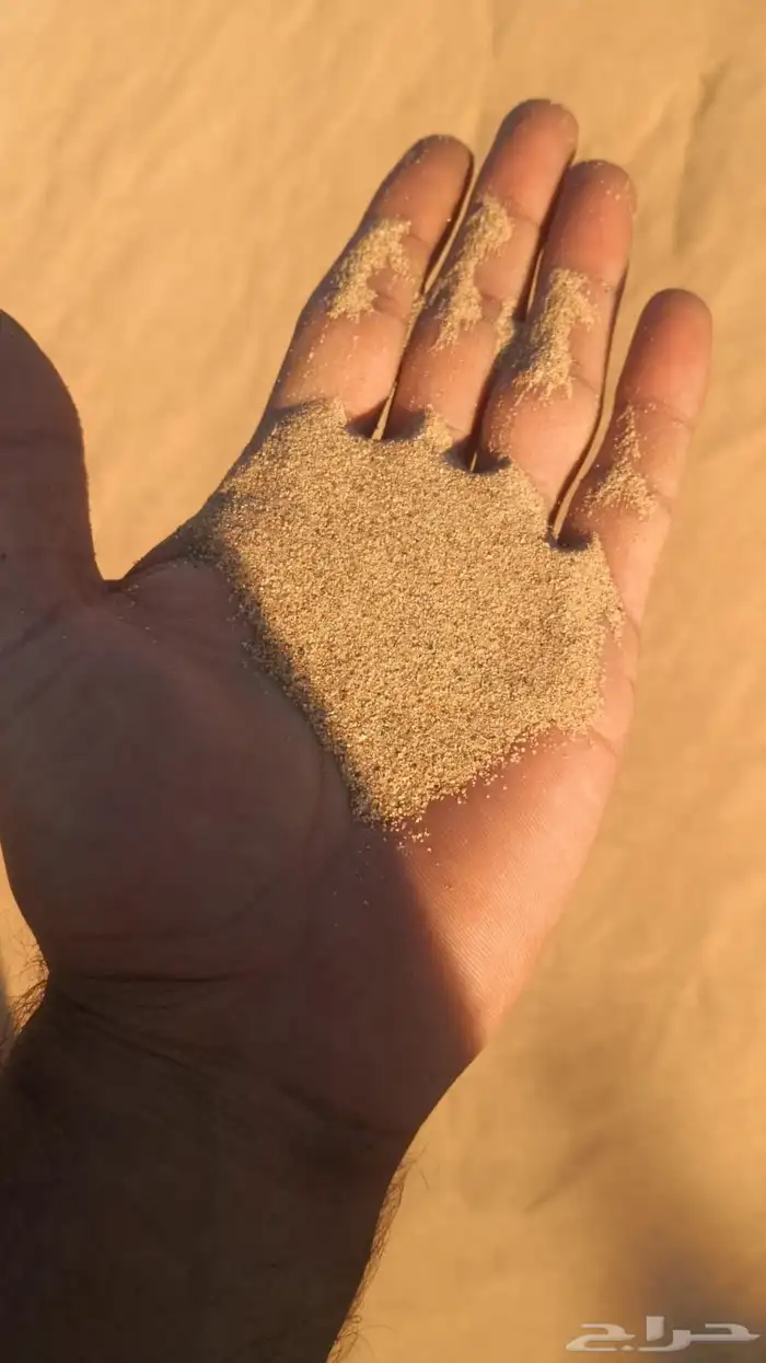 رمل احمر الفريش 25