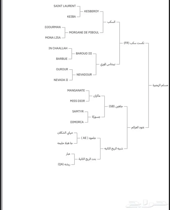 حصان واهو فرنسي للبيع 1