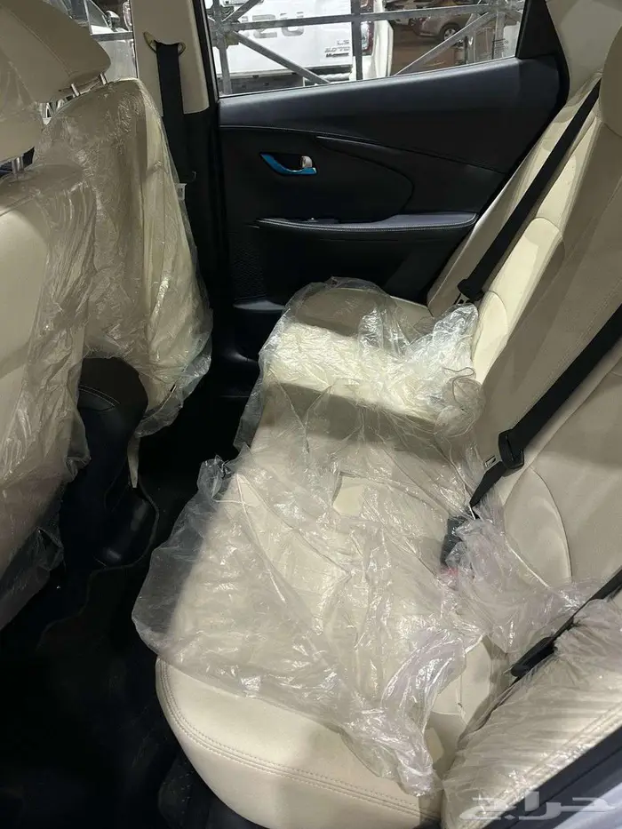 شانجان السفن 2025 فل المجدوعي 7