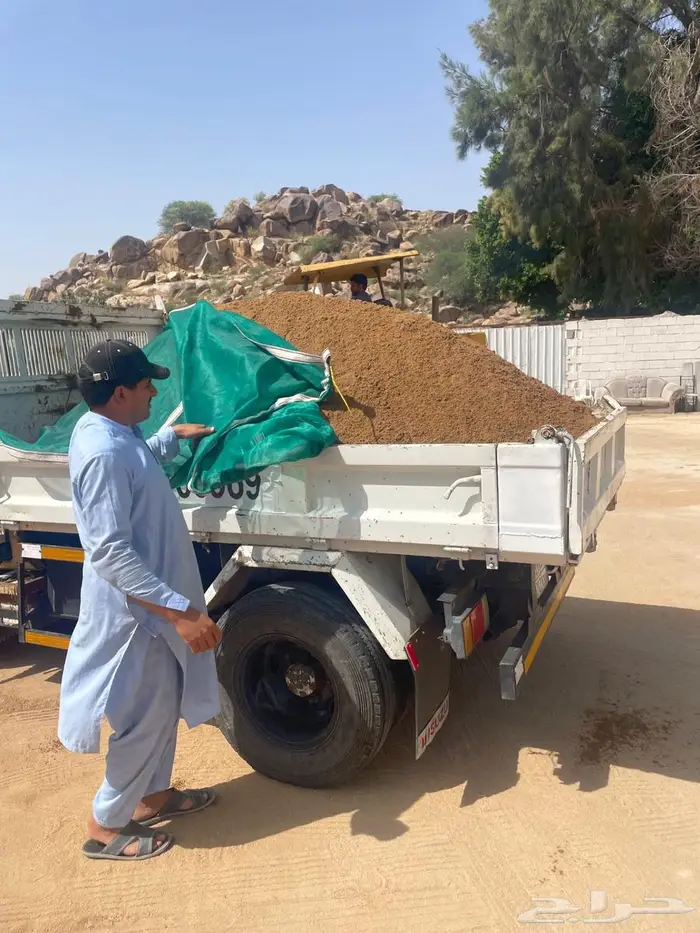 قلاب صغير بطحا الطايغ 0