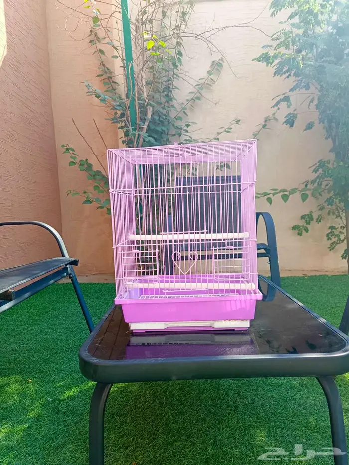 للبيع اقفاص طيور وسمك الفايتر ودنابل 3