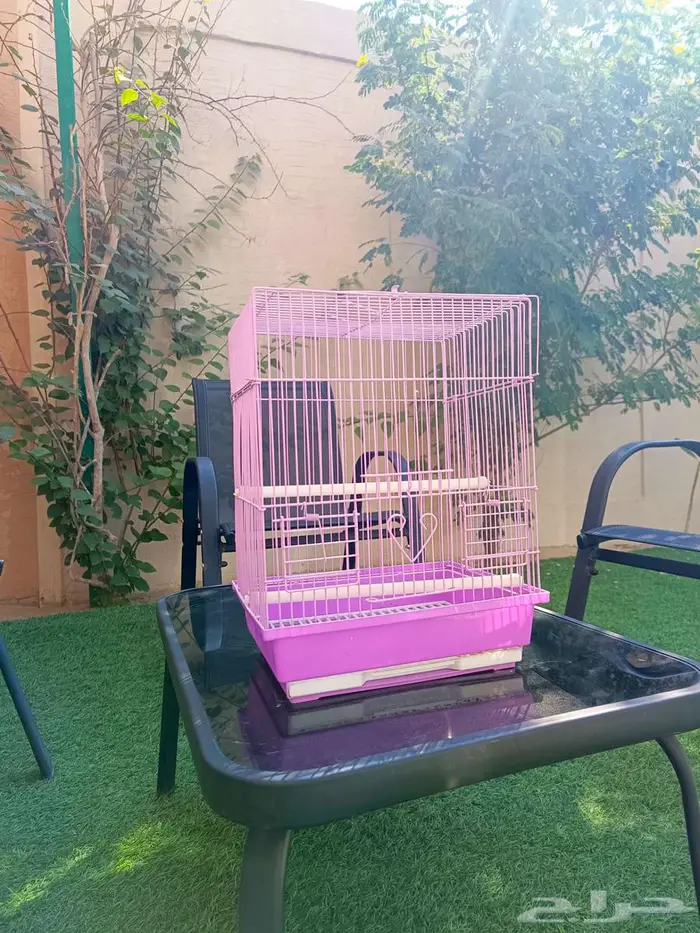 للبيع اقفاص طيور وسمك الفايتر ودنابل 6