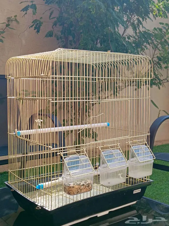 للبيع اقفاص طيور وسمك الفايتر ودنابل 0