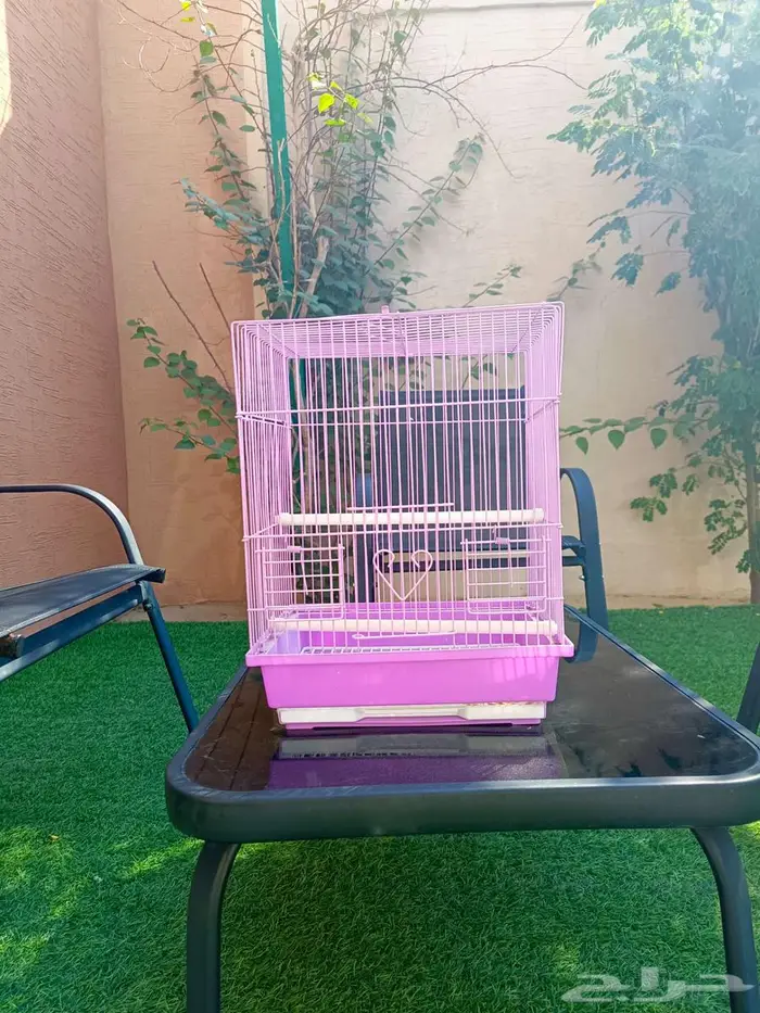 للبيع اقفاص طيور وسمك الفايتر ودنابل 5