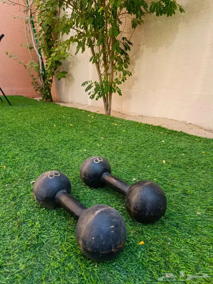 للبيع اقفاص طيور وسمك الفايتر ودنابل 7