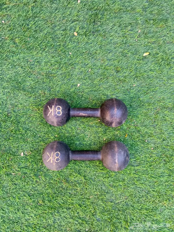 للبيع اقفاص طيور وسمك الفايتر ودنابل 9