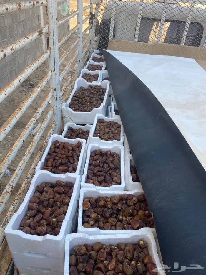 تمر حلال للبيع 0