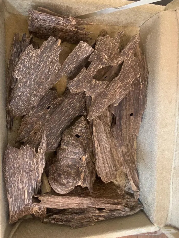 بخور كمبودي 1