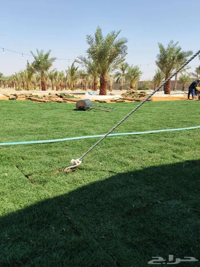 تنسيق حدائق ثيل طبيعي 3