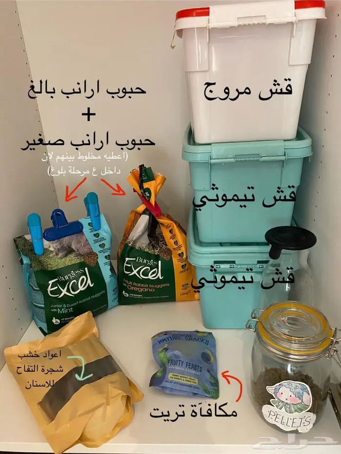 ارنب هولند لوب 4