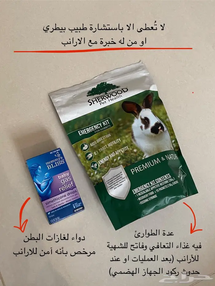 ارنب هولند لوب 6