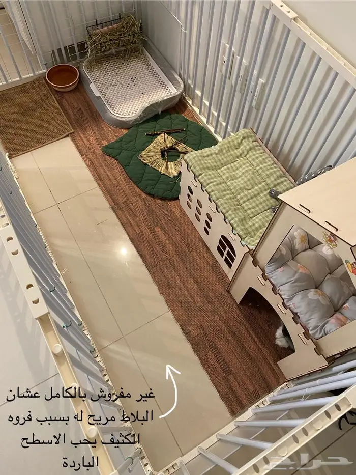 ارنب هولند لوب 3