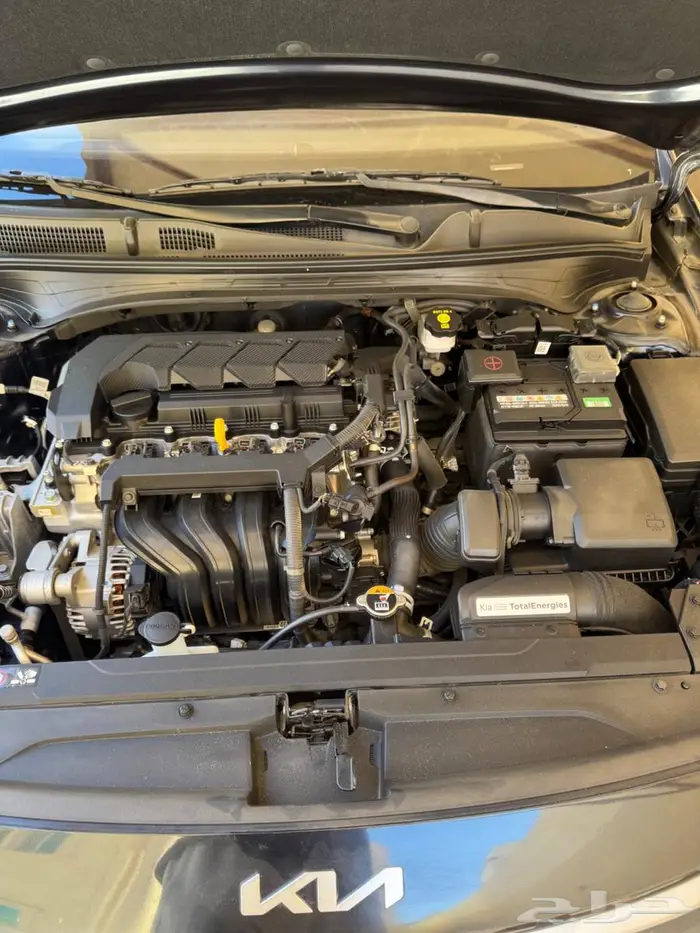 كيا سيراتو 2024 5