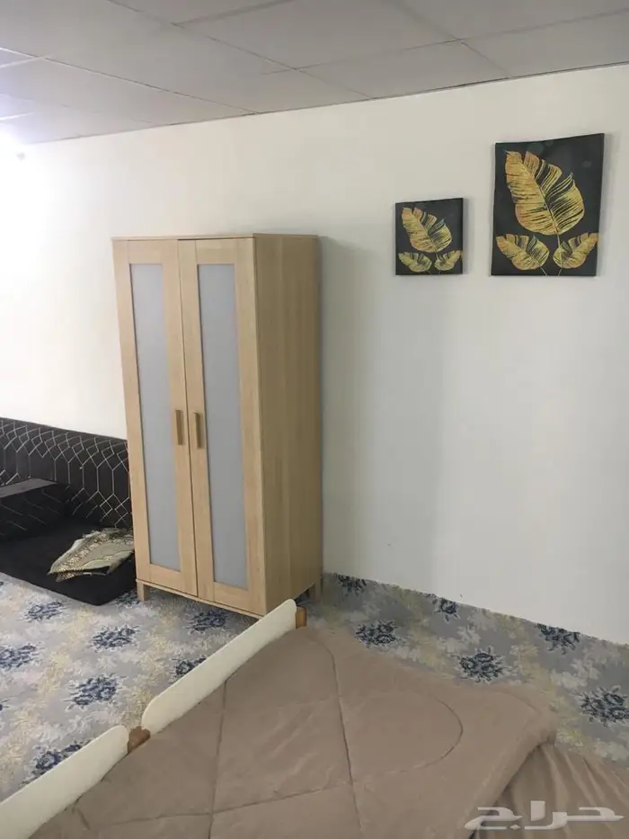 مطلوب مسوق 6