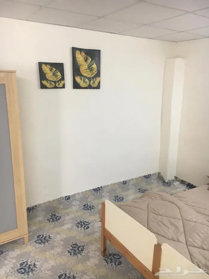 مطلوب مسوق 7