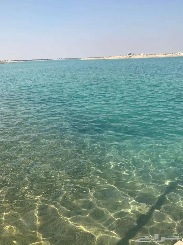 سجل تجاري للبيع 0