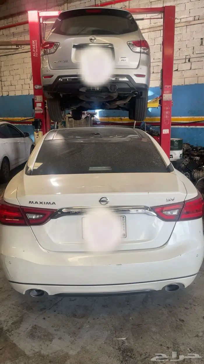 قير ماكسيما التيما سنترا 0