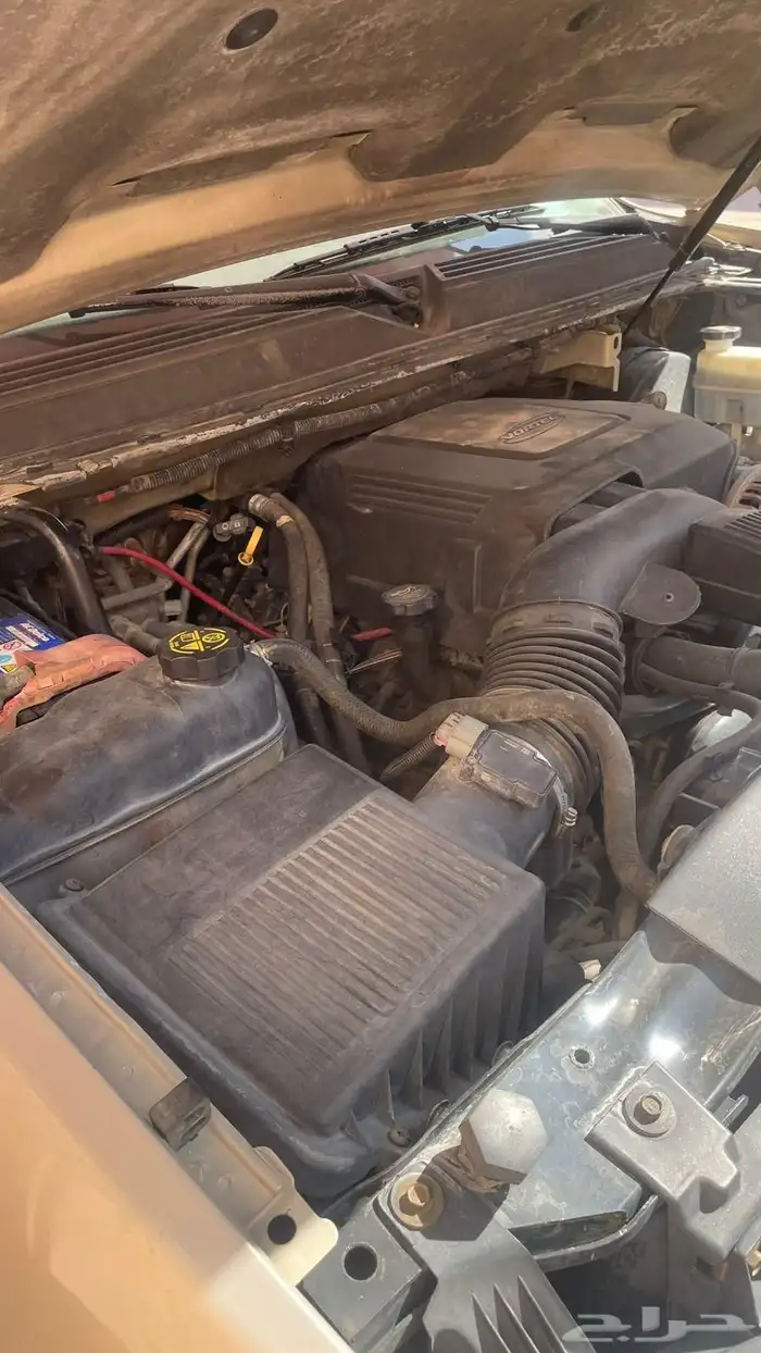 شفر سوبرمان 2009 6