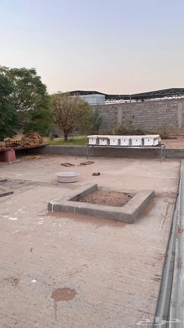 السلام عليكم خلايا نحل للبيع 5