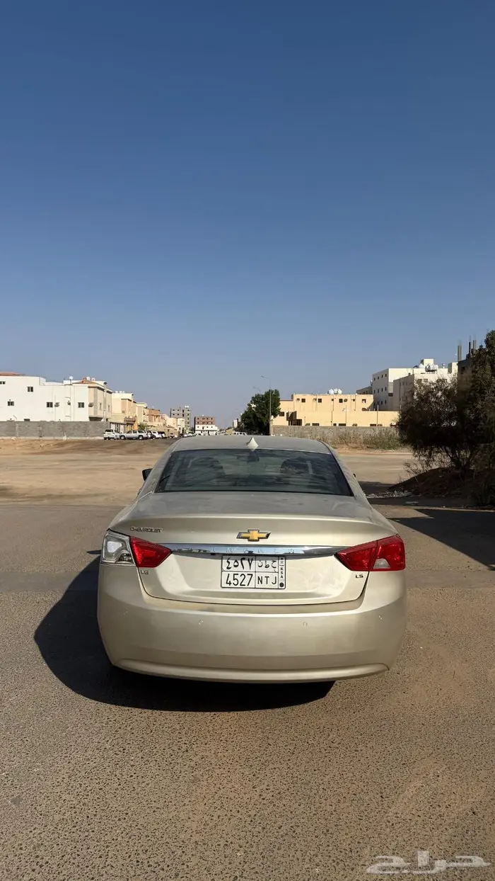 امبالا 2015 ذهبي 7