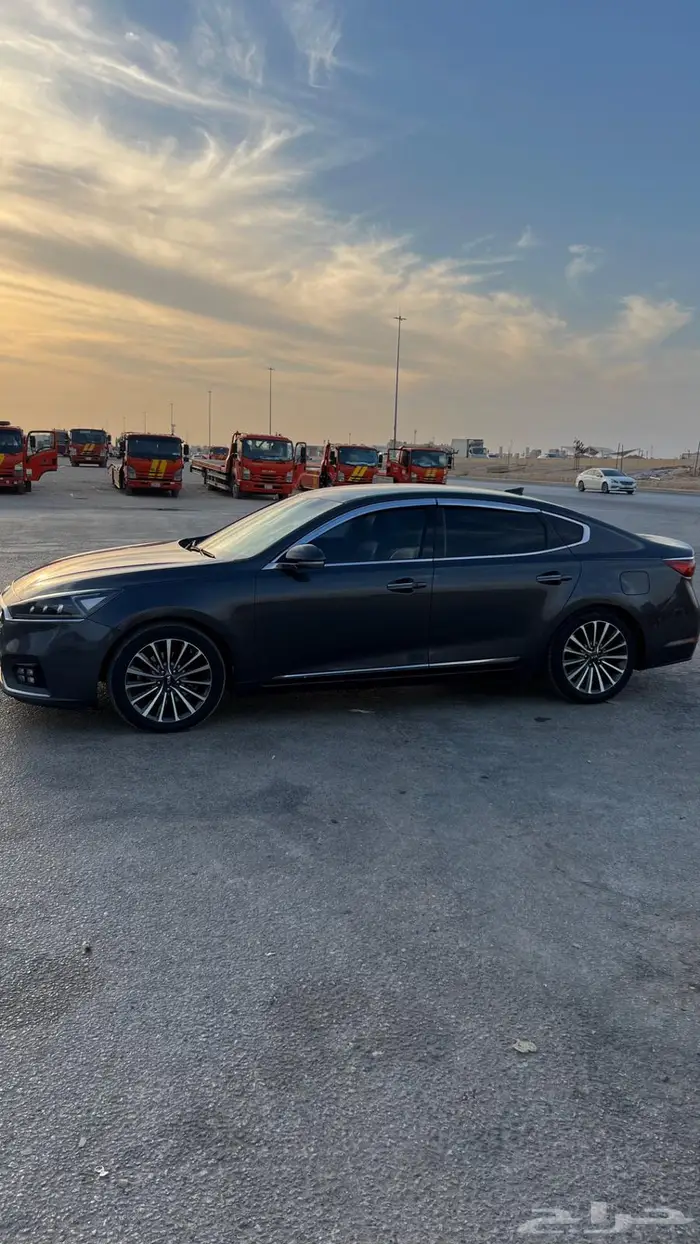 كادينزا 2018 2