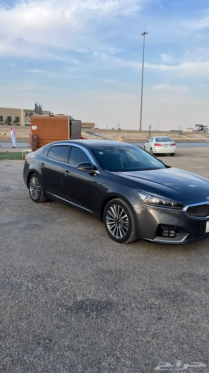 كادينزا 2018 1