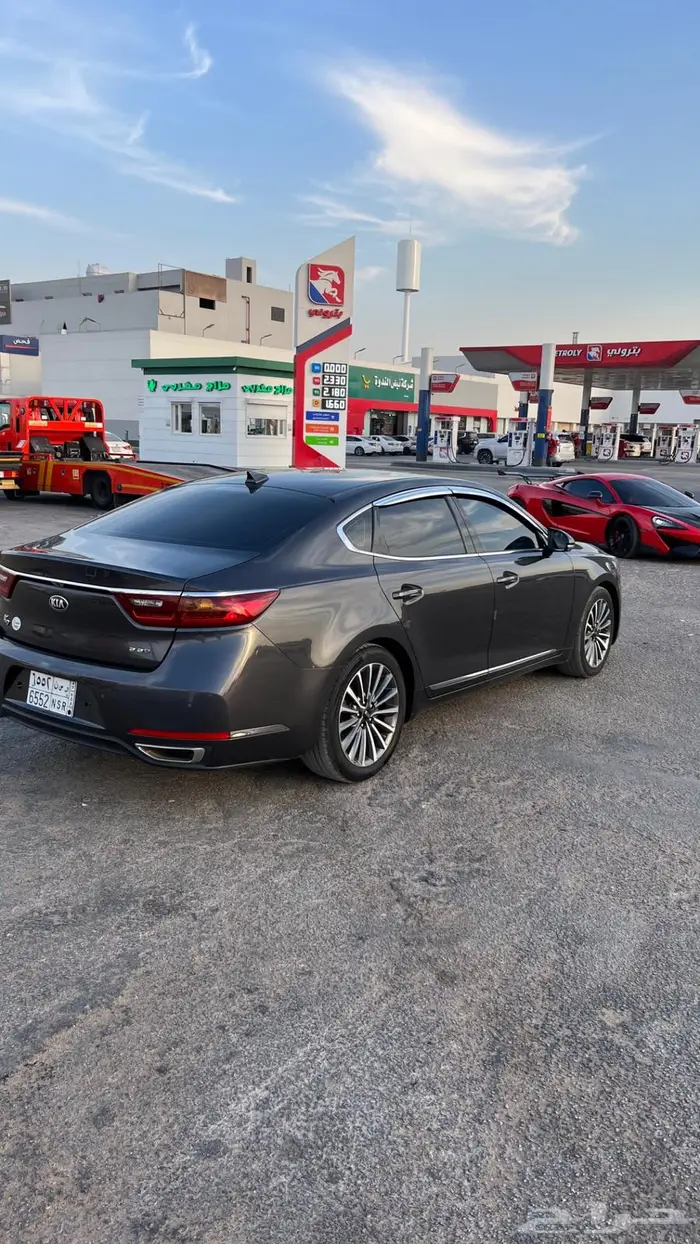 كادينزا 2018 7