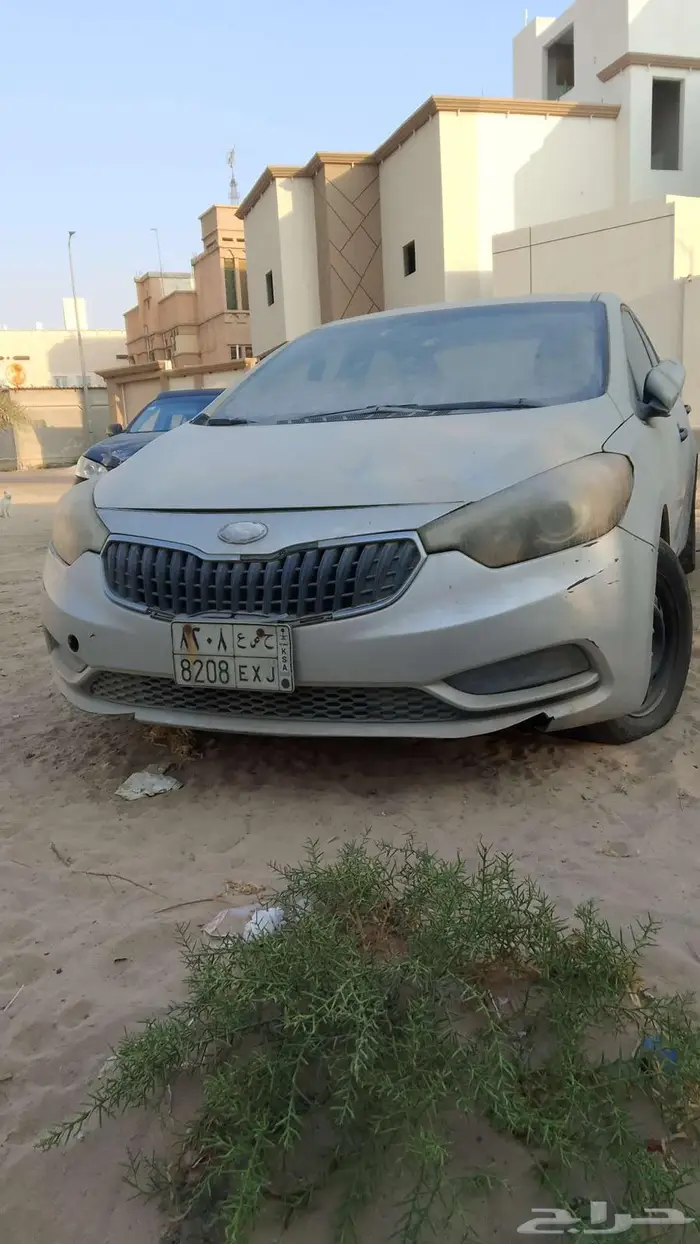 الشرقية الاحساء 5