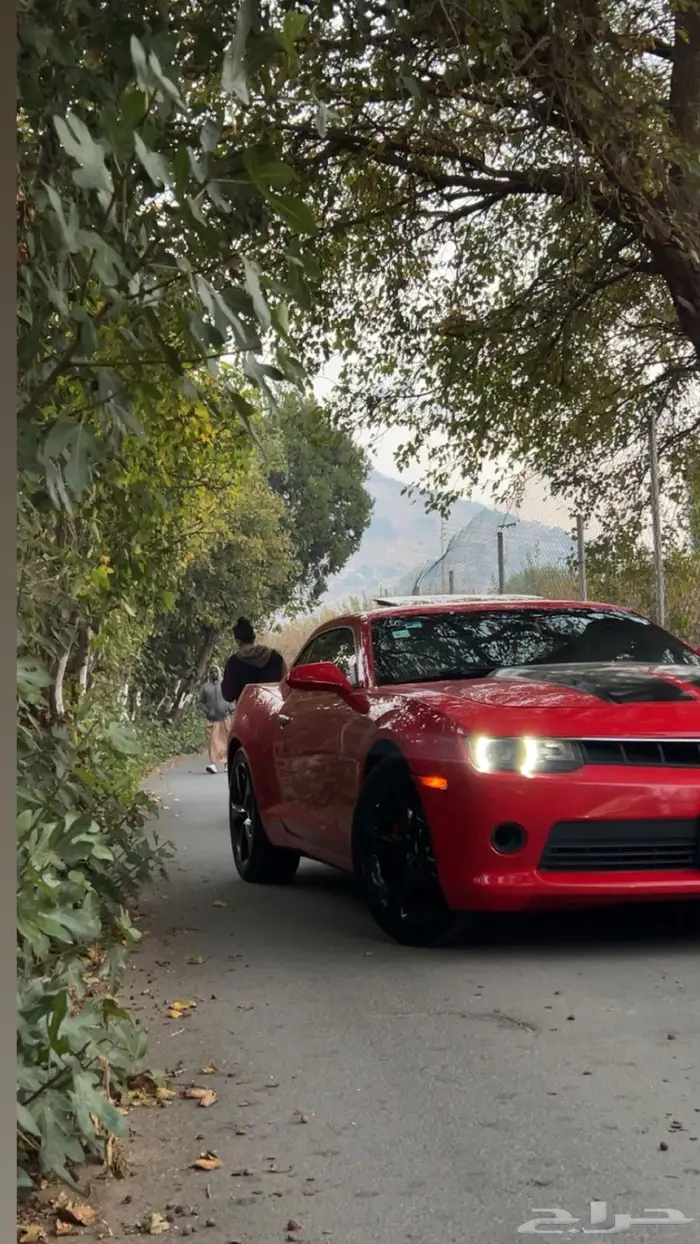 كمارو فل كامل 0