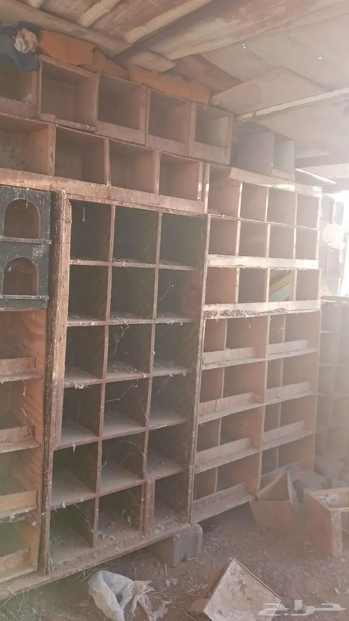 محاكر حمام دجاج 0