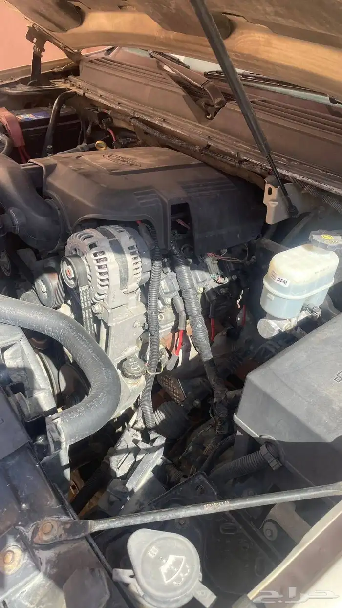 شفر سوبرمان 2009 4