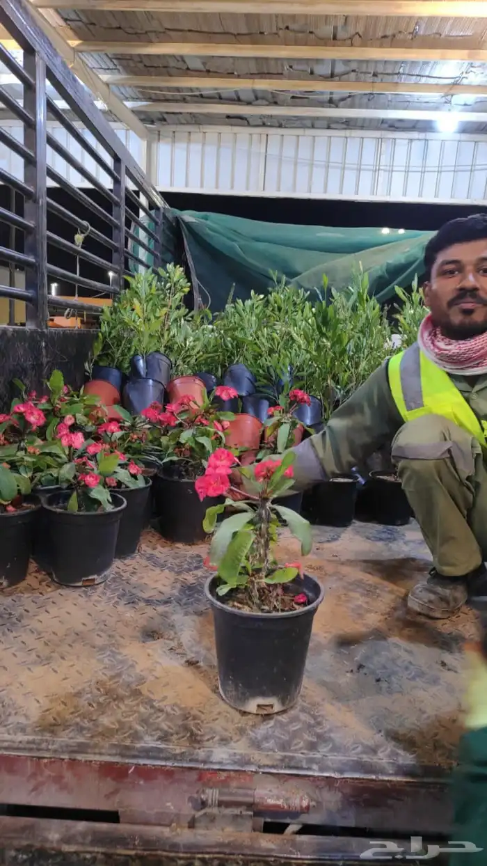 تنسيق حدائق 7