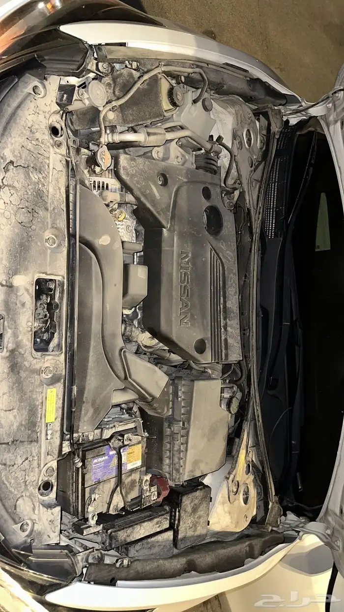 التيما 2018 16