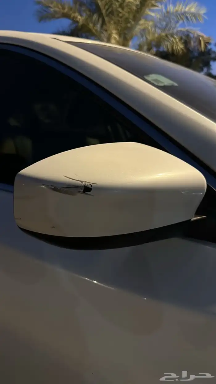 التيما 2018 35