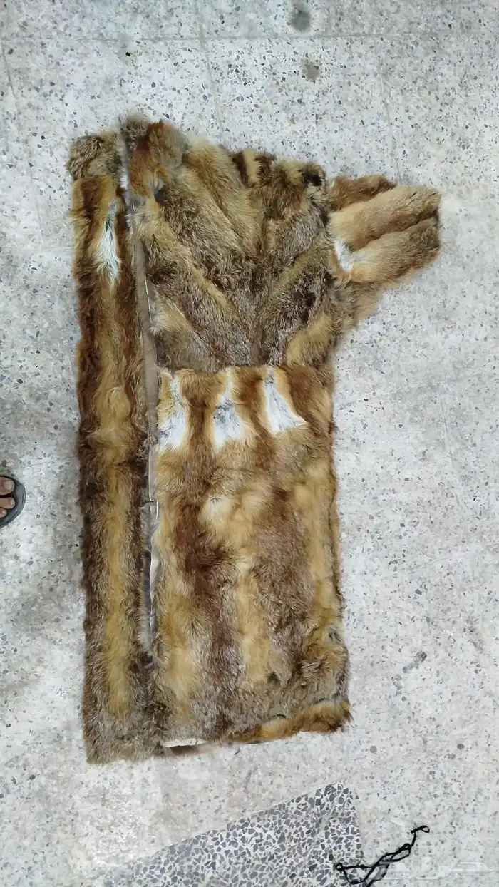 فروة فراوي فرواة طفيلي وطبيعي وصناعي جملة الجملة 39