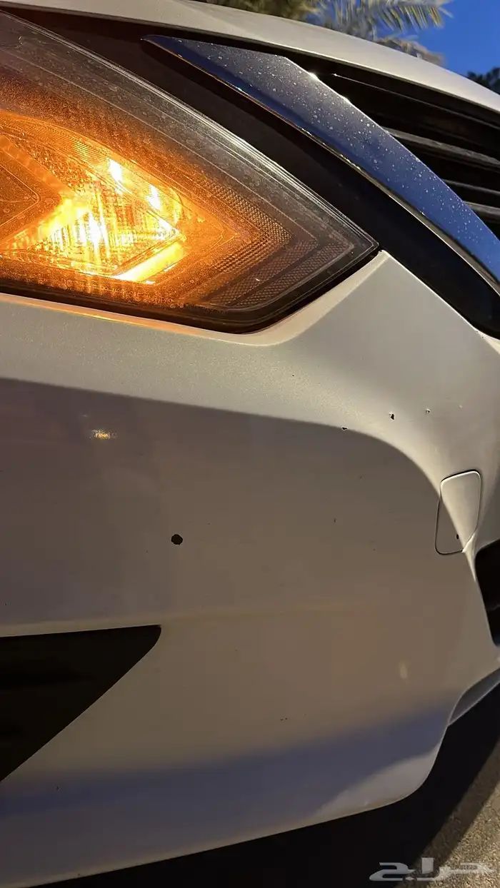 التيما 2018 39