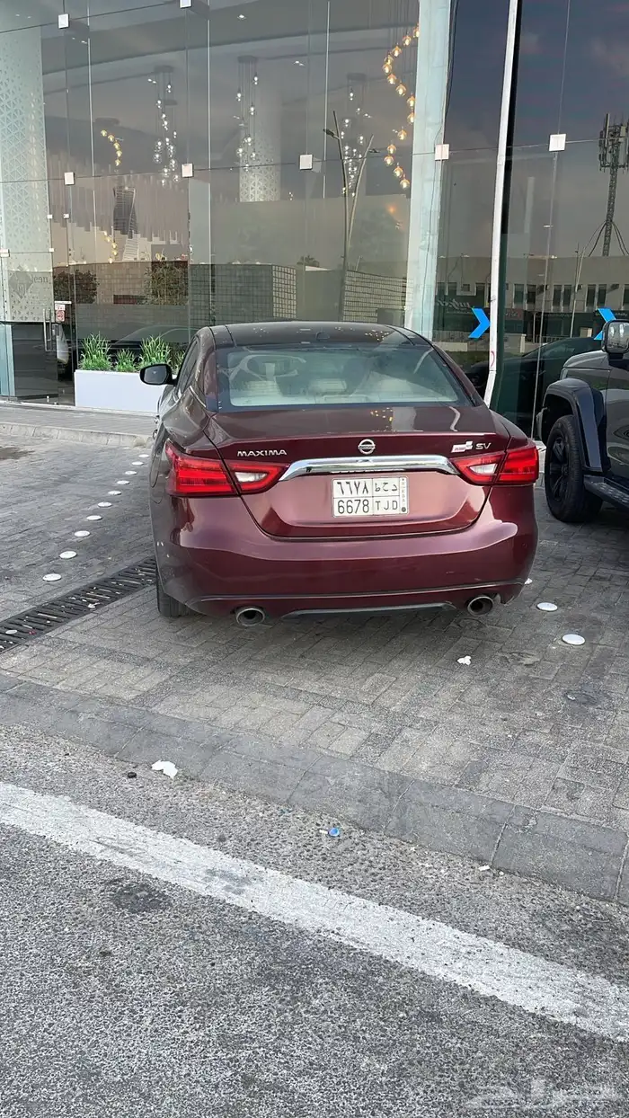 نسيان ماكسيما 2