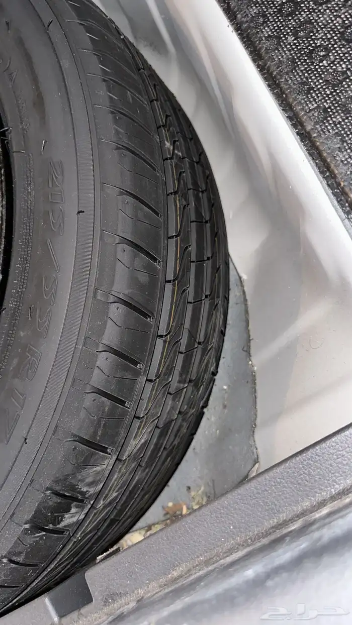 التيما 2018 14